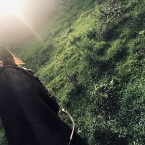 Meet your Posher, Sarah e